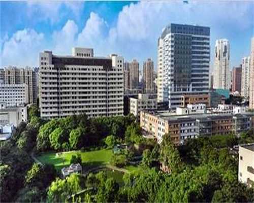 2026助孕食谱:吃什么食物能让卵泡快速发育并提高供卵质量?