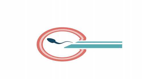 2026年卵巢早衰绝经还能调理好吗？高龄生子应对卵巢功能减退的深度解析